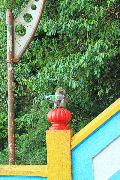 Hati-Hati Terhadap Barang Bawaan!