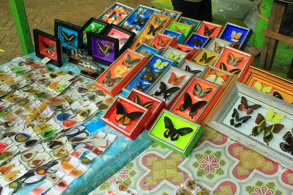 Oleh-Oleh Khas Bantimurung