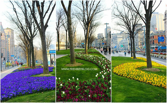 Bunga-Bunga Cantik di The Bund - Shanghai