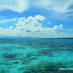 Snorkeling di Pulau Kambing dan Pulau Liukang, Tanjung Bira